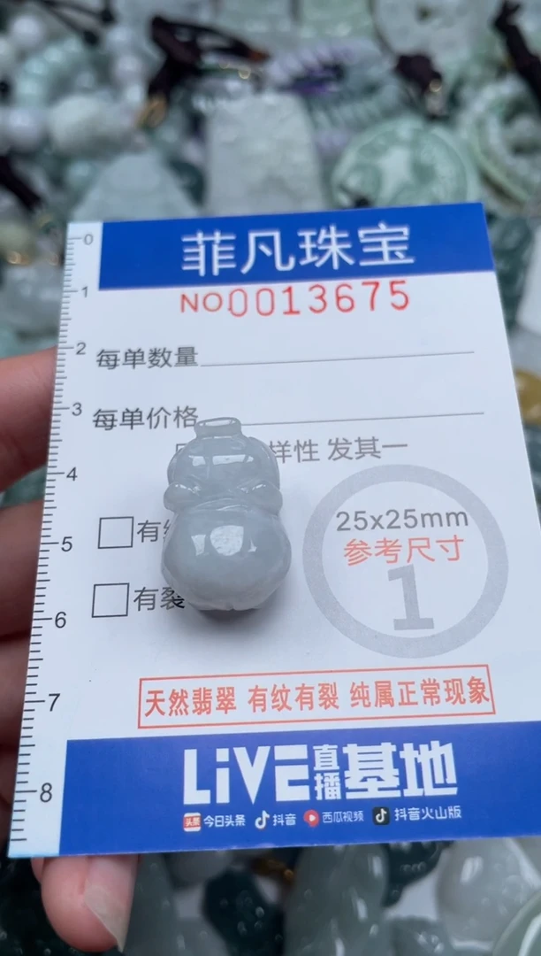 颈饰未镶嵌翡翠13675