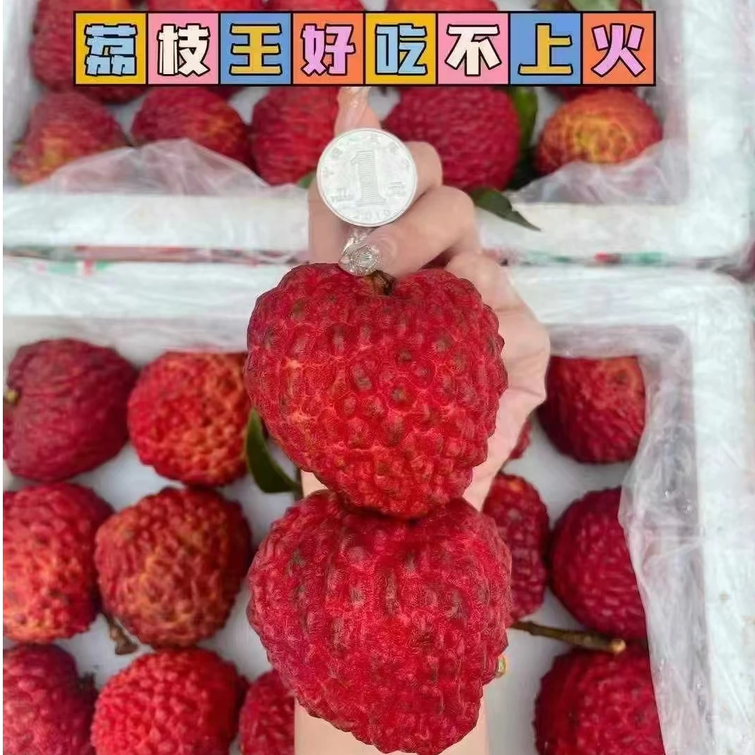 【空运荔枝王】战斗荔荔枝王 40g起步精品特大果 空运货（礼盒装5斤）新鲜