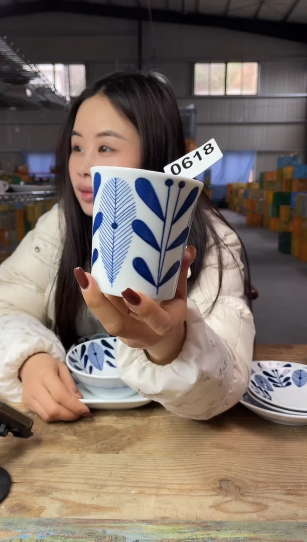 【闪购商品】瓷片0618号