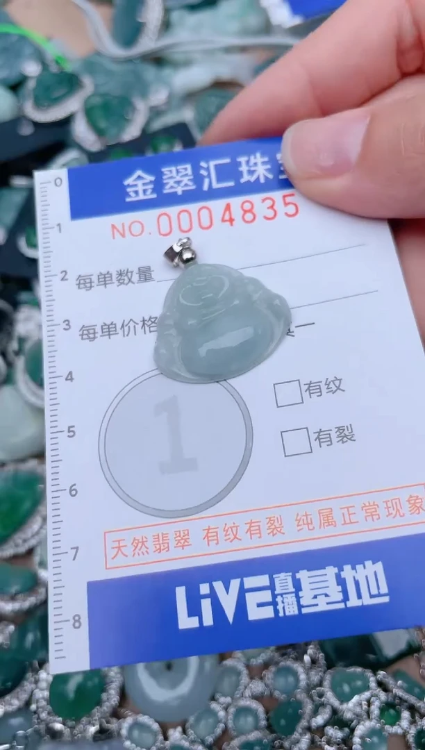 翡翠未镶嵌颈饰4835............1