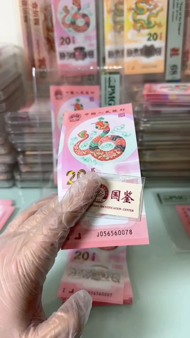 塑料05656007蛇钞单张