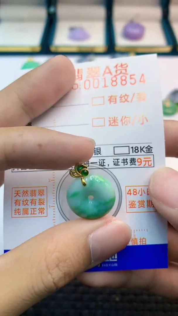 翡翠未镶嵌吊坠(不含链)             1