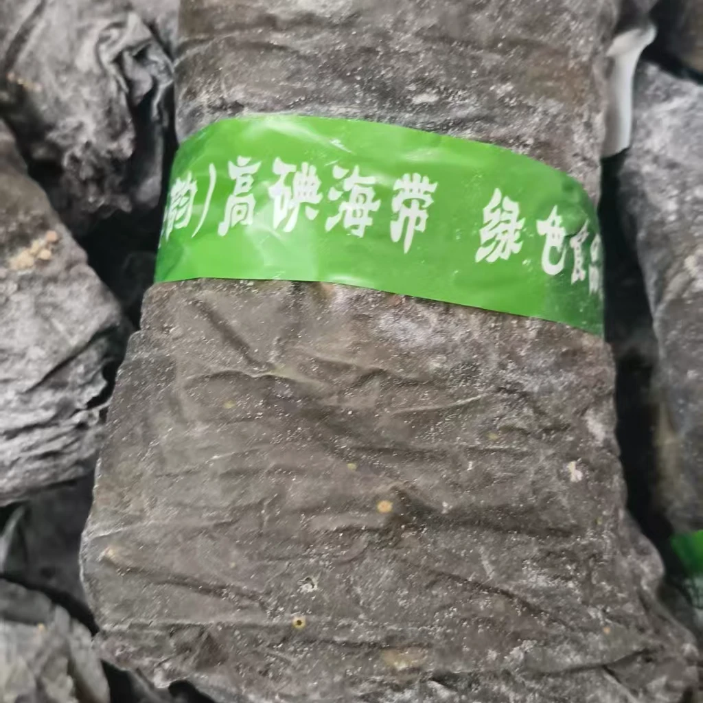 海带头海带新鲜美味