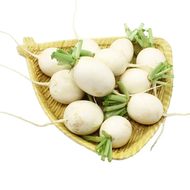 圆白萝卜约500g±50g小圆白萝卜