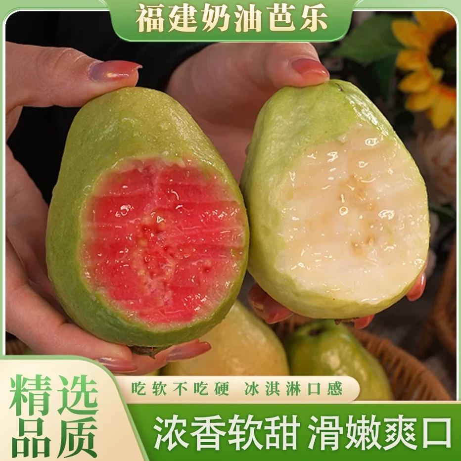 福建奶油红心白心芭乐新鲜软糯爽滑番石榴冰淇淋口感芭乐果3斤起