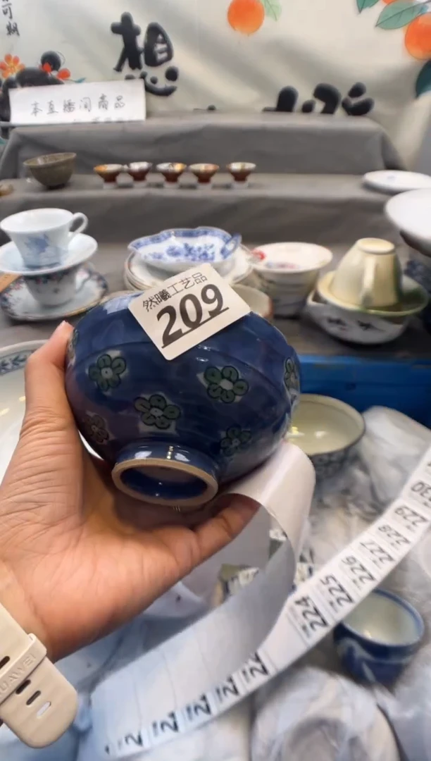 瓷片??209