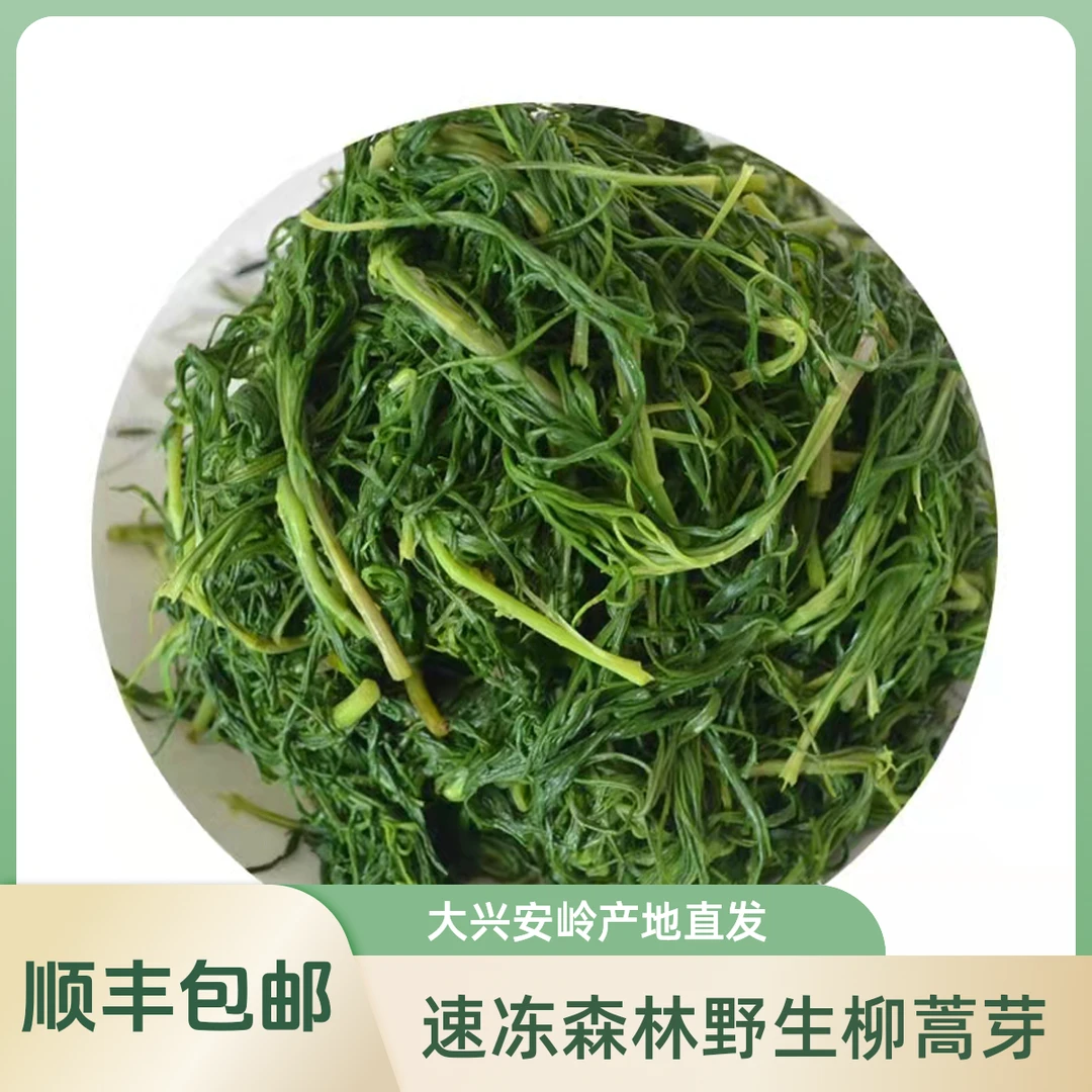 大兴安岭野生柳蒿芽新鲜焯水冷冻无添加山野菜蘸酱菜微苦500克/袋
