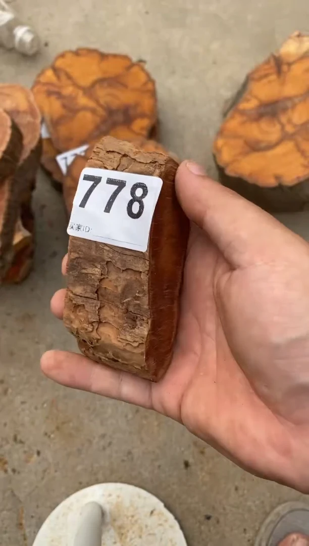 柏木（崖柏）太行陈化崖柏切片一片778