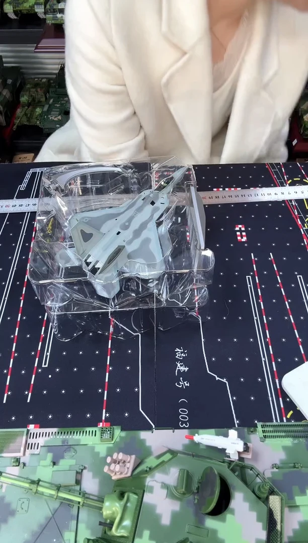 F22小比例合金1/100