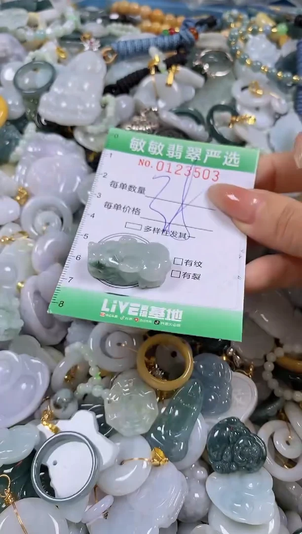 【闪购商品】翡翠颈饰未镶嵌闪购0123503