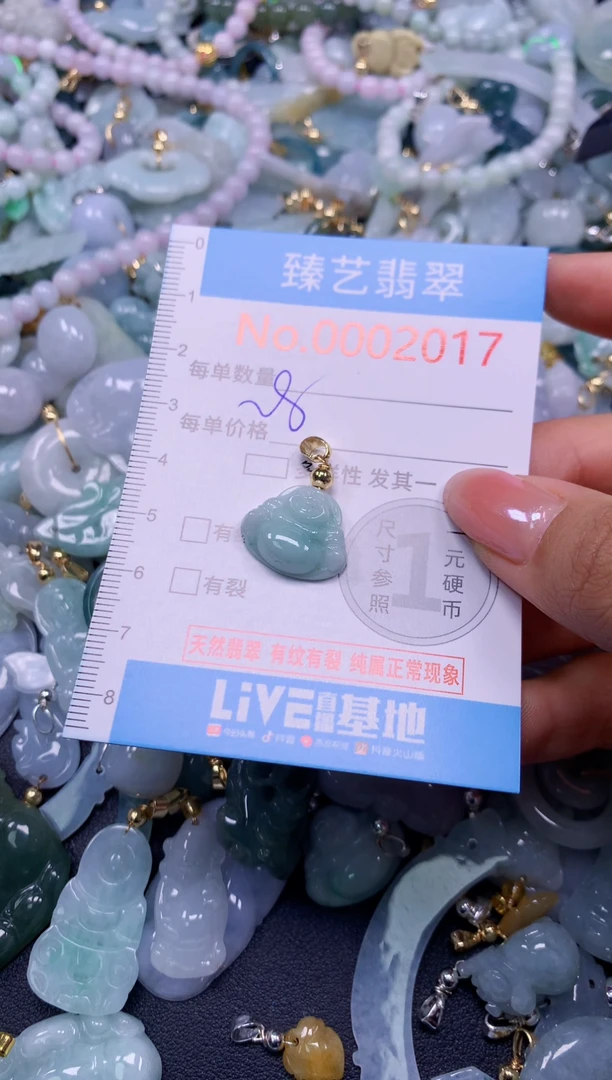 颈饰未镶嵌翡翠2017