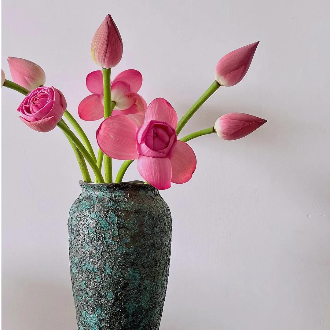 【荷花·春有百花夏有荷】 鲜切花基地直发两单顺丰包邮今天发明天到次日达荷花带花苞发货家居鲜花荷花同城配送