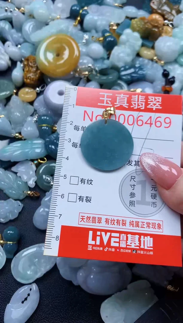 翡翠未镶嵌吊坠(不含链)6469