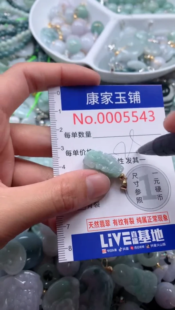 颈饰未镶嵌翡翠5543