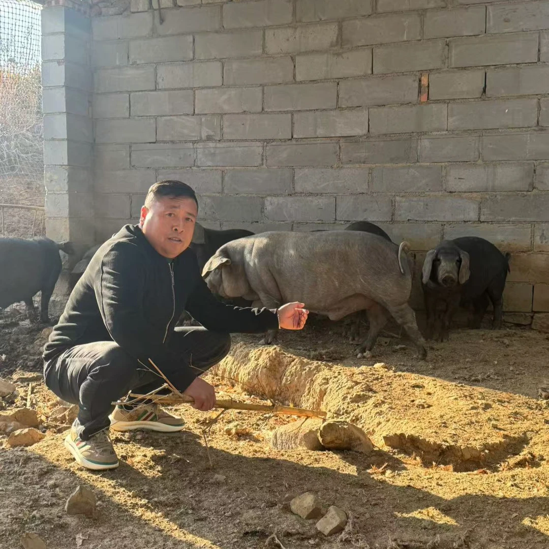 老孙家跑山黑猪肉