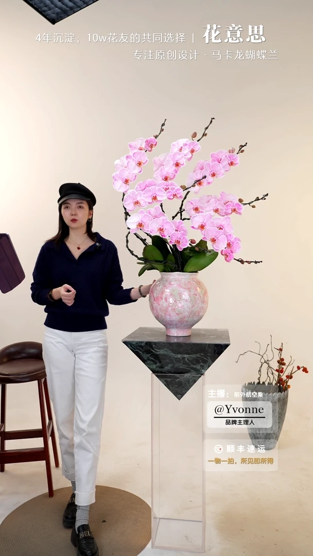 全部花朵022一物一拍蝴蝶兰艺术盆景