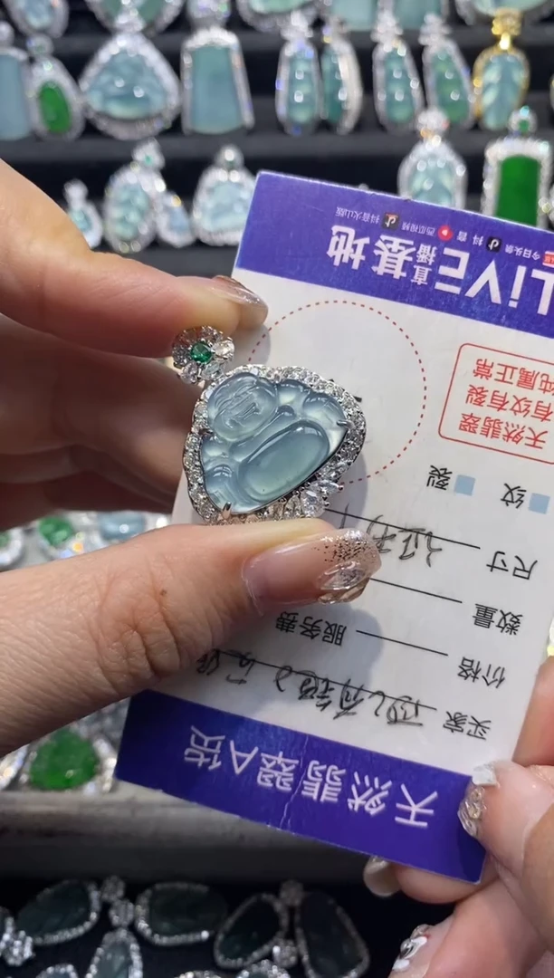 【闪购商品】翡翠颈饰未镶嵌翡翠