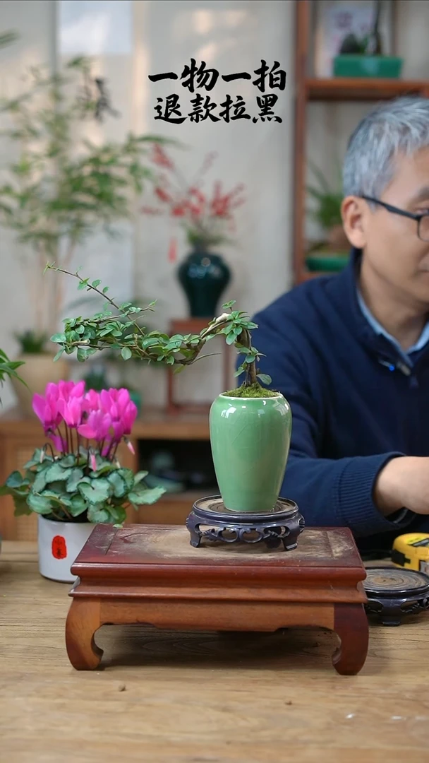 完全开放研****月福建茶183
