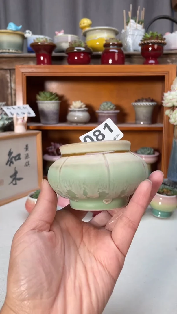 瓷片081小芳直播编号