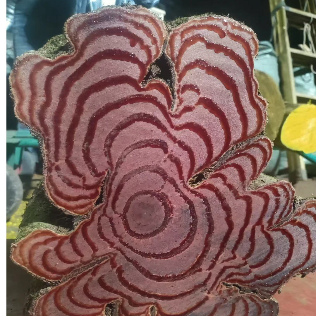 百年鸡血藤 原产地发货