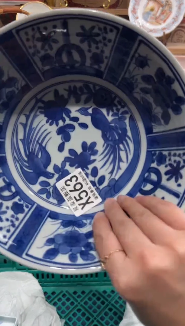 瓷片林*萍瓷片------X563