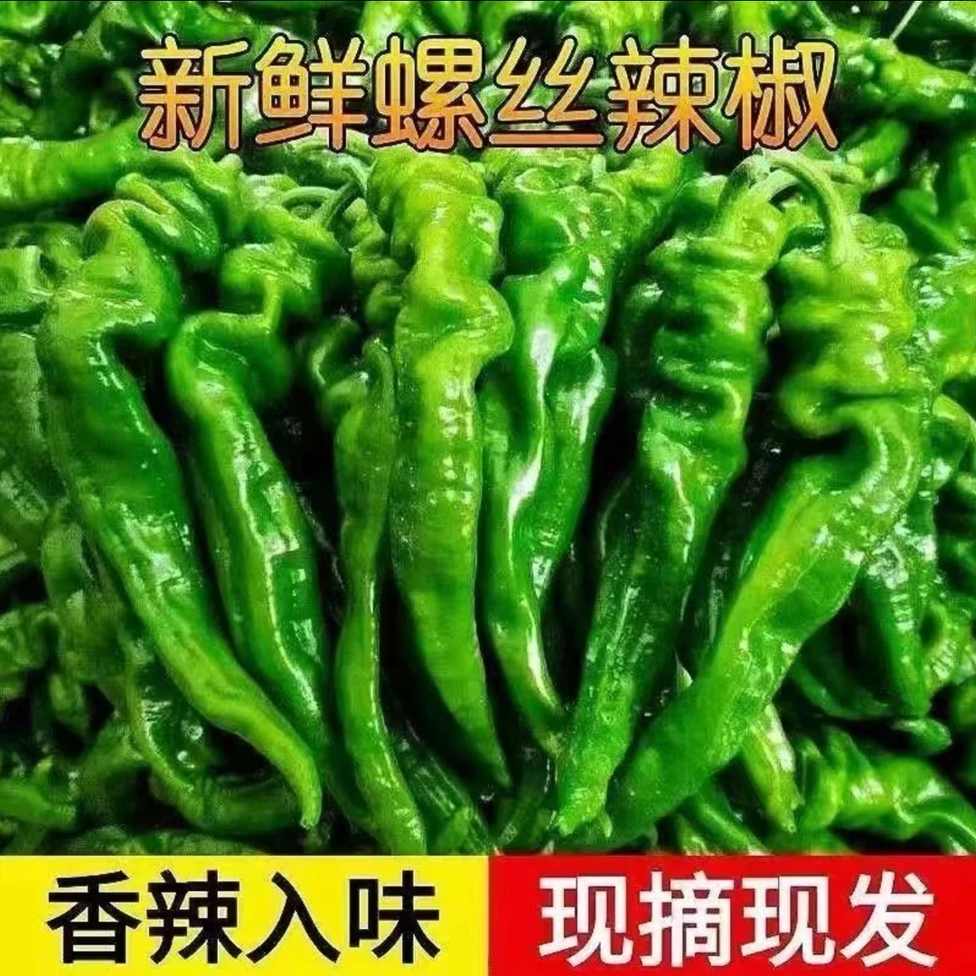 【汇峰农场】新鲜纸皮螺丝椒净重2斤（±2两）现摘现发顺丰/京东随机包邮辣椒