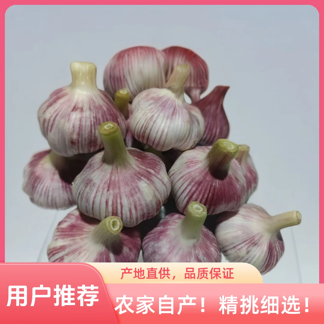 新鲜大蒜（腌制糖醋蒜）