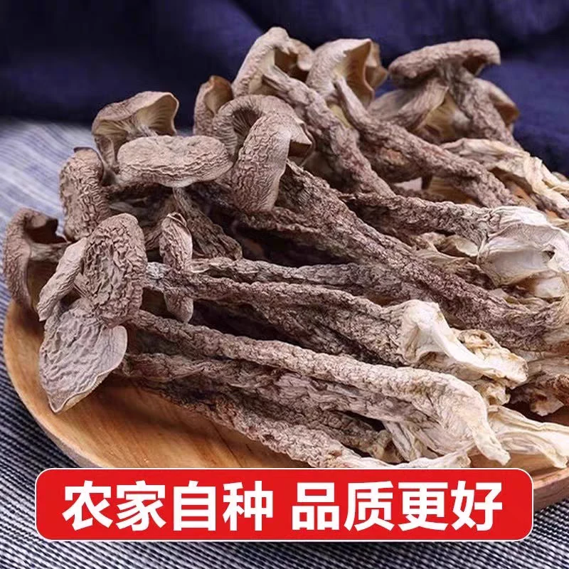 高山鹿茸菇当季头茬无熏硫-净重包邮-现场精挑-现挑现发