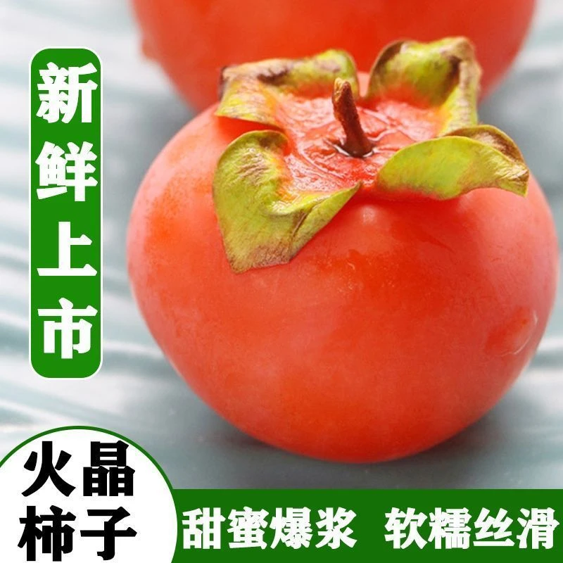 新鲜采摘脆柿子新鲜水果柿子当季正宗冰糖心黄甜脆火晶柿子包邮