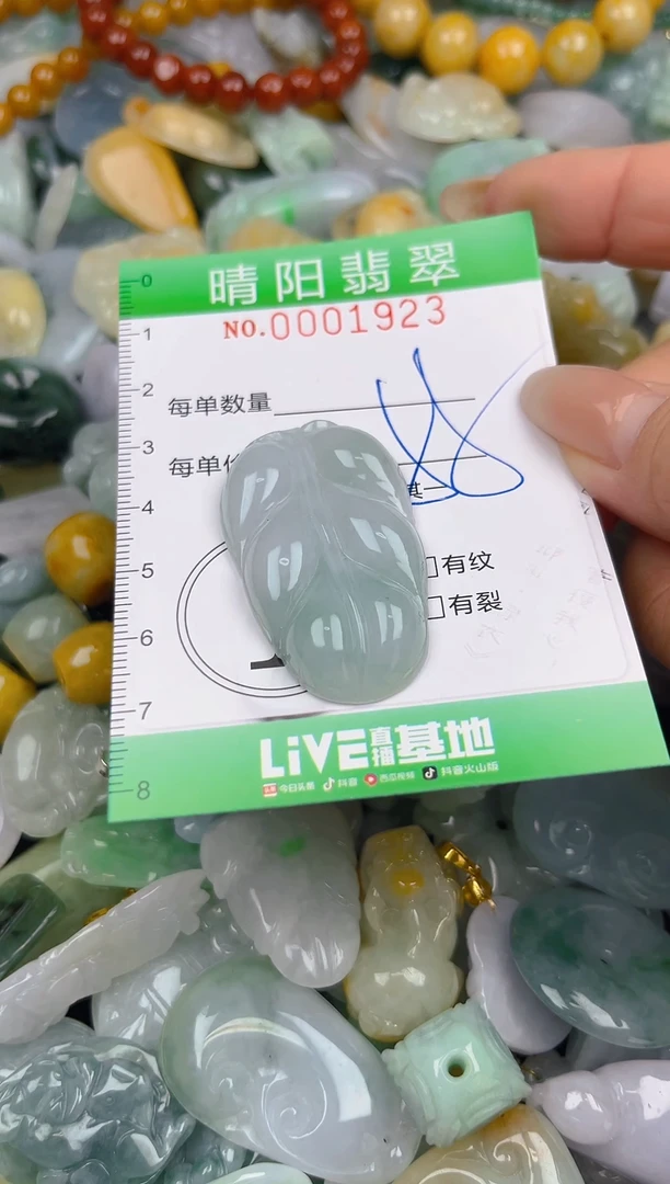 翡翠未镶嵌颈饰闪购0001923