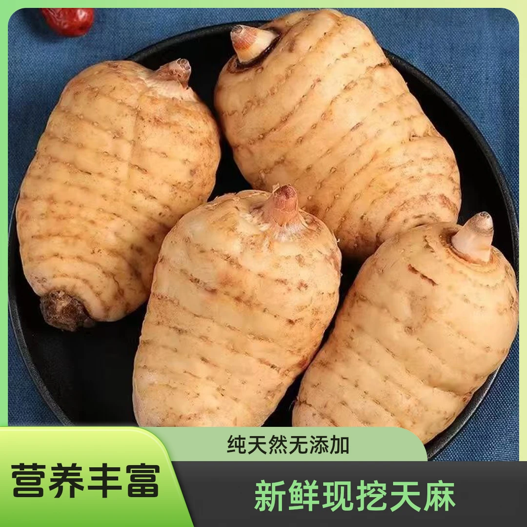 云南昭通小草坝新鲜高山天麻产地直发可炖汤煲汤的美食食材