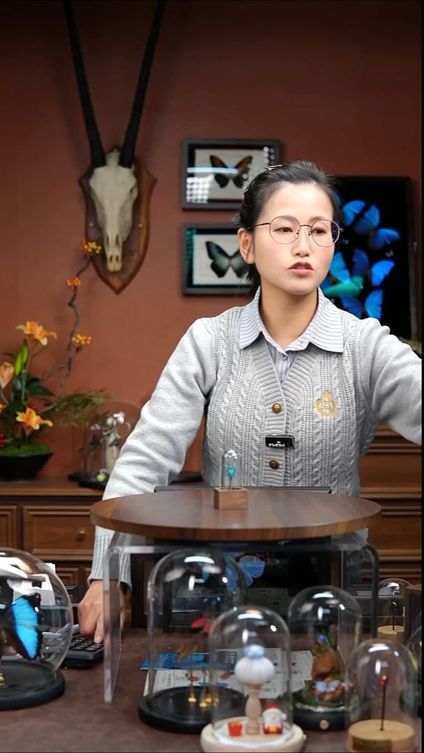 Y21    彩虹象甲