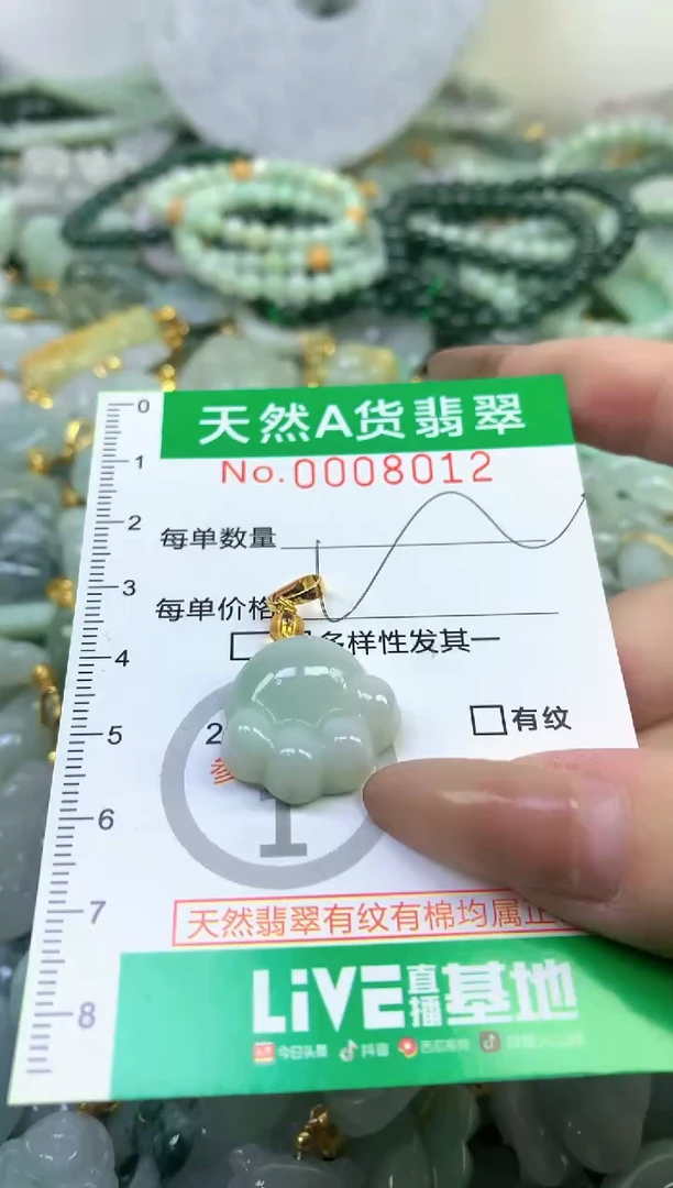颈饰未镶嵌翡翠a货翡翠