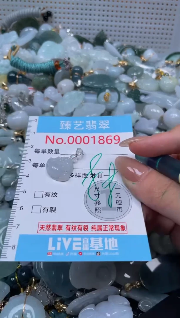 颈饰未镶嵌翡翠1869