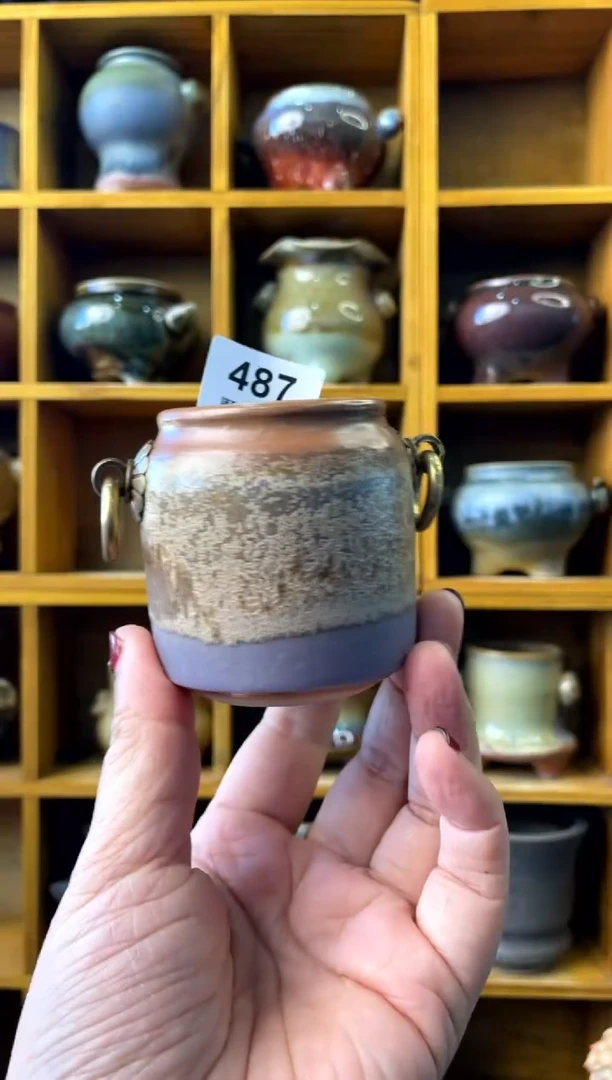 【闪购商品】陶487