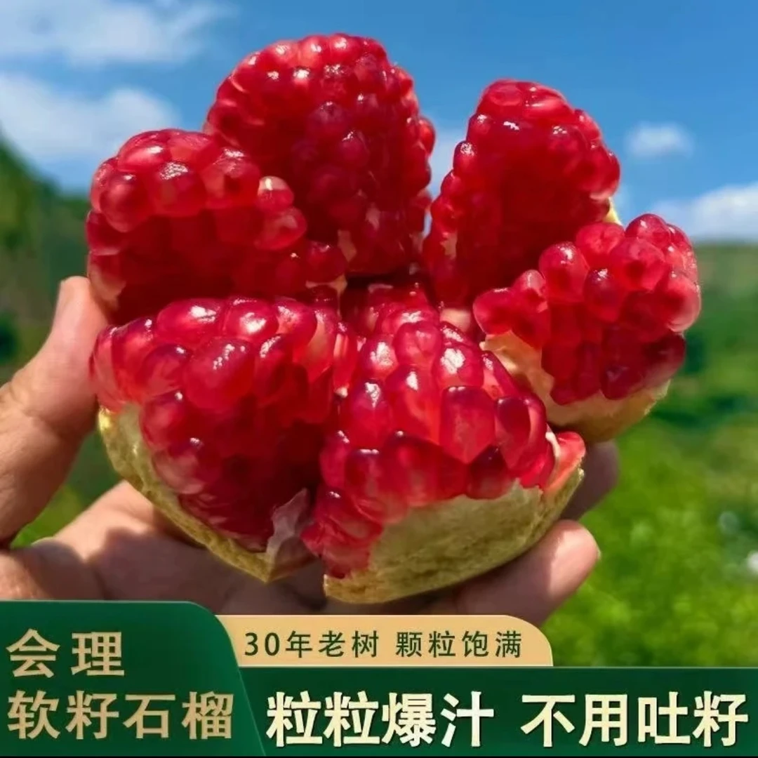 【纯甜爆汁】正宗会理突尼斯软籽石榴新鲜当季水果多汁坏果包赔亿二