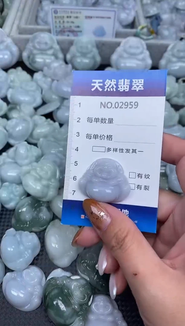 颈饰未镶嵌翡翠纯天然A货翡翠2959