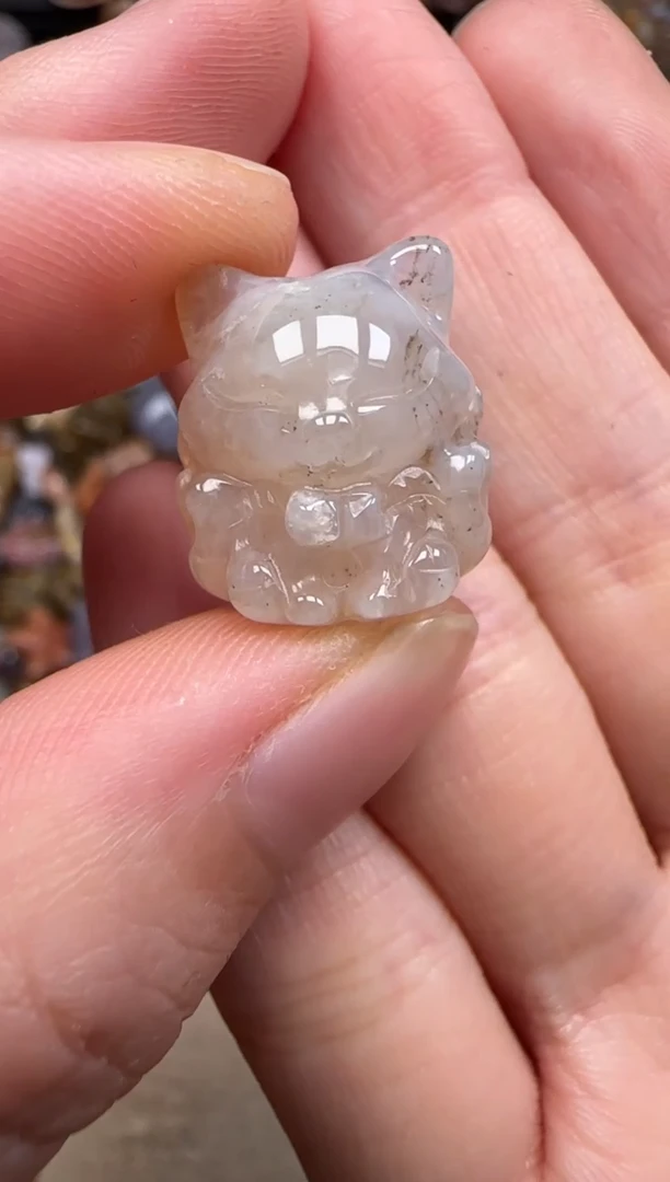 硅化珊瑚（珊瑚玉）未镶嵌颈饰284