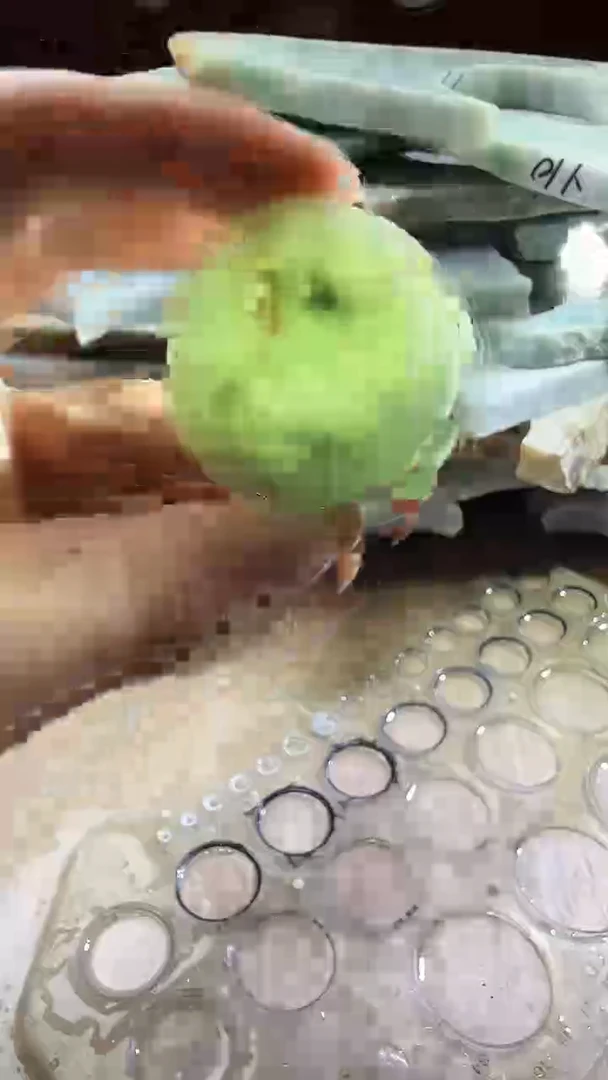 裸石翡翠天然翡翠A货花304