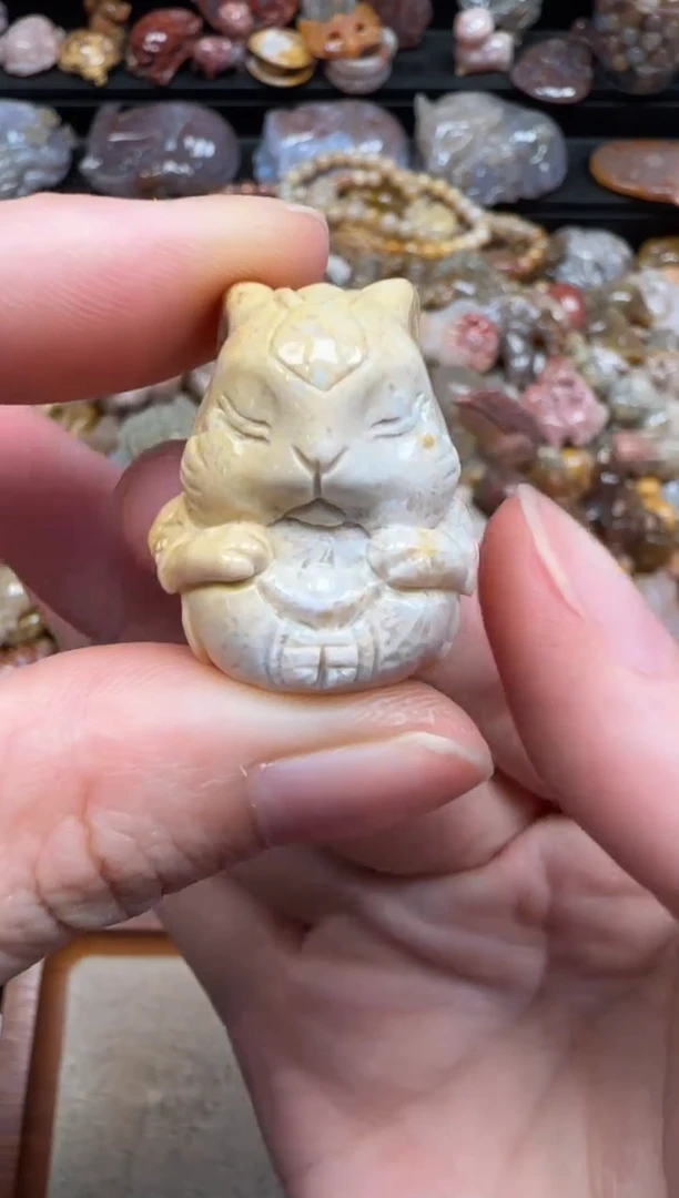 硅化珊瑚（珊瑚玉）未镶嵌颈饰281