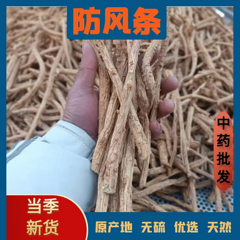 精选正宗防风整根中药材新货无硫防风泡酒泡茶煲汤泡脚干货中药材