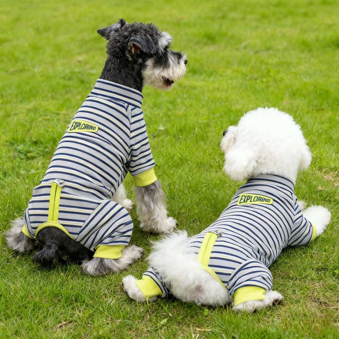 趣派秋冬条纹休闲四腿打底宠物衣服