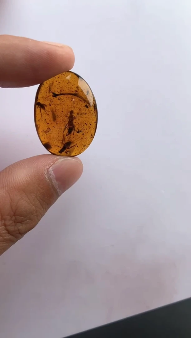 【闪购商品】琥珀颈饰未镶嵌虫珀