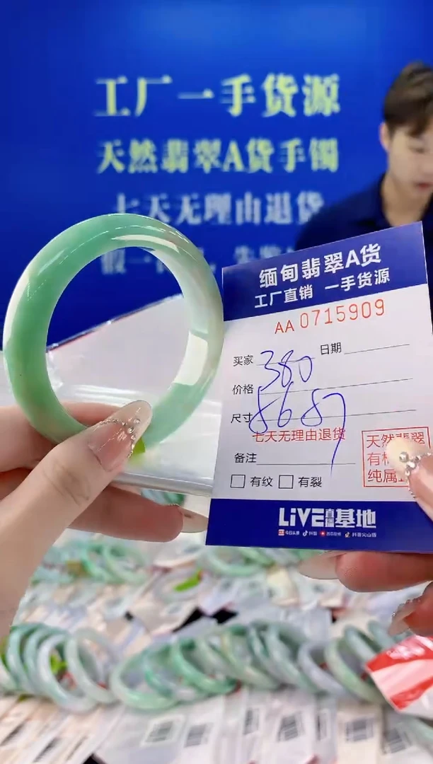 未镶嵌手镯翡翠09