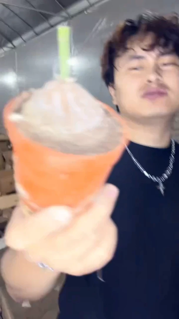 龟甲龙【带根】5-7cm