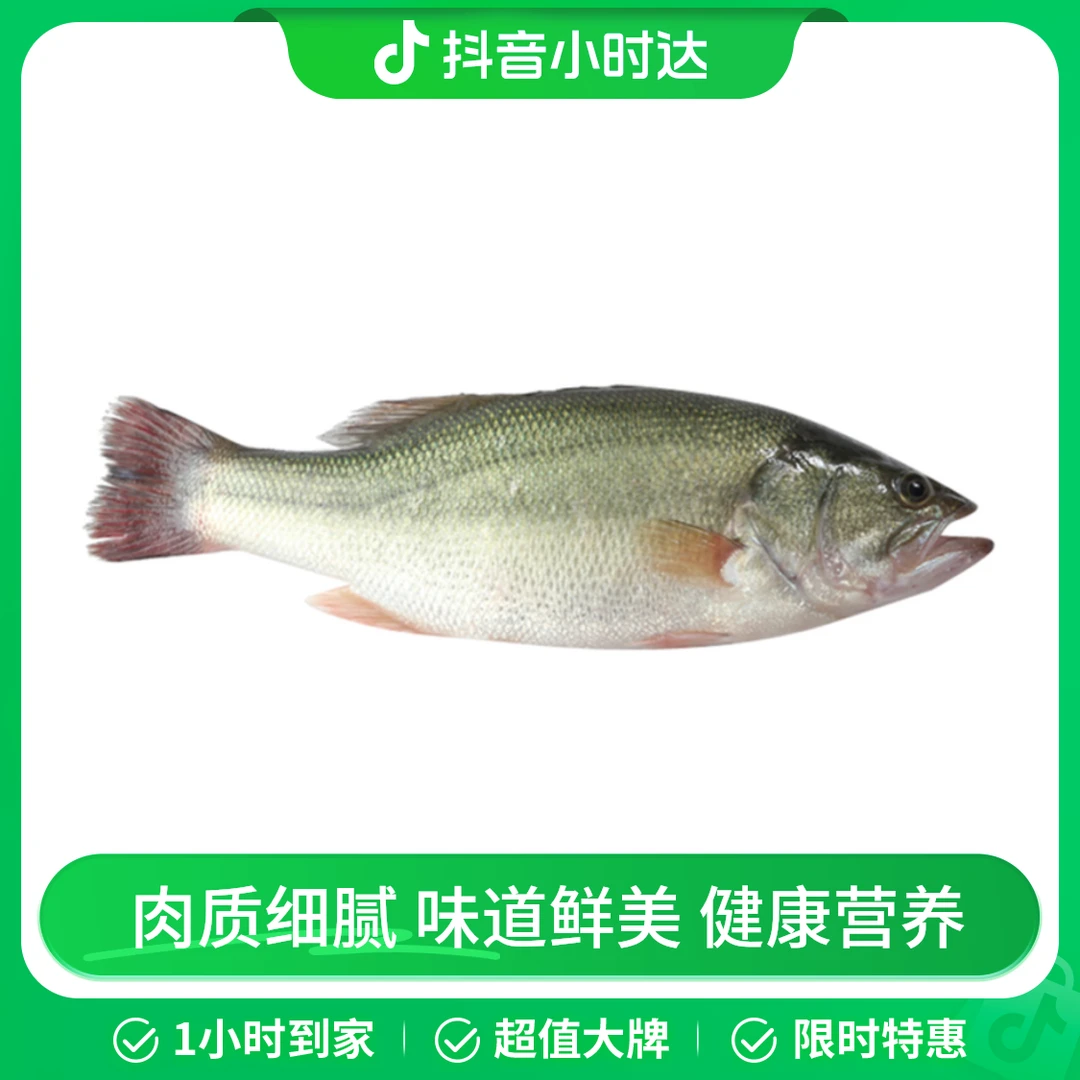 淡水鲈鱼（宰杀不退）500-650g/条