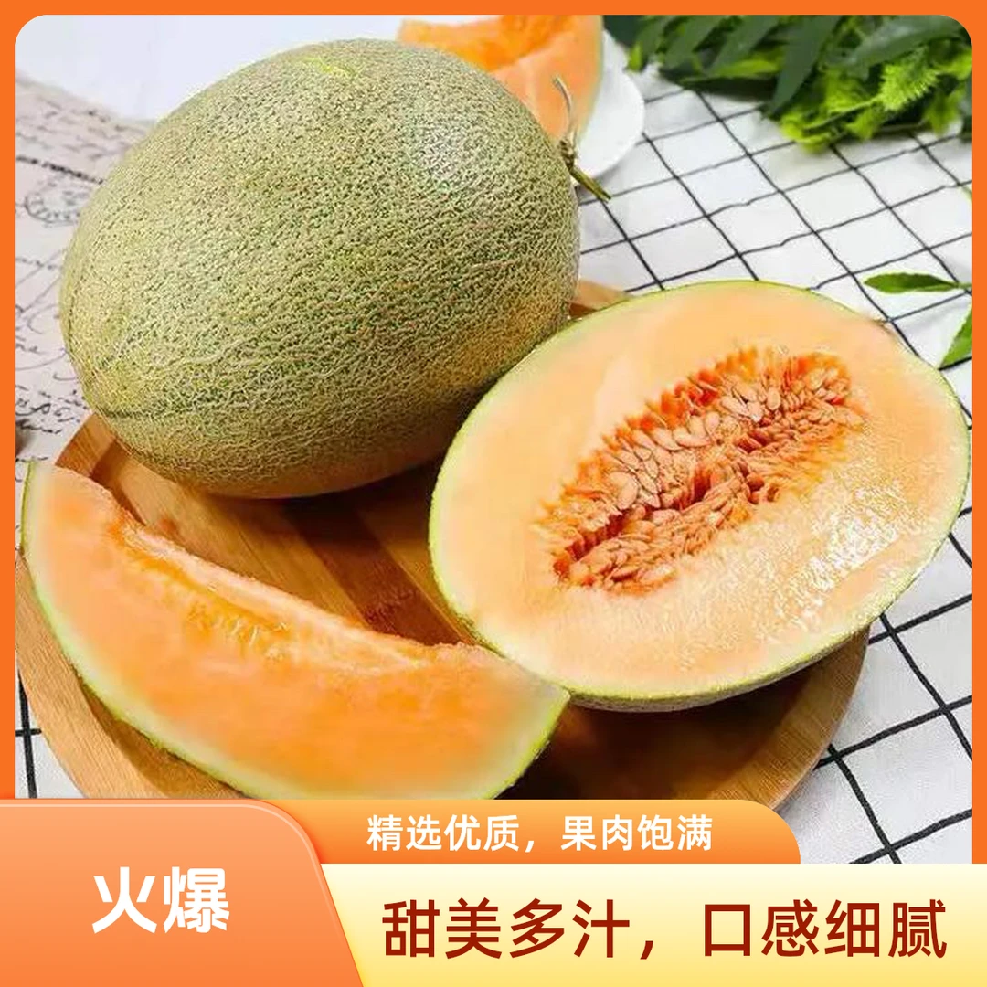 金巴郎哈密瓜 9.9一个