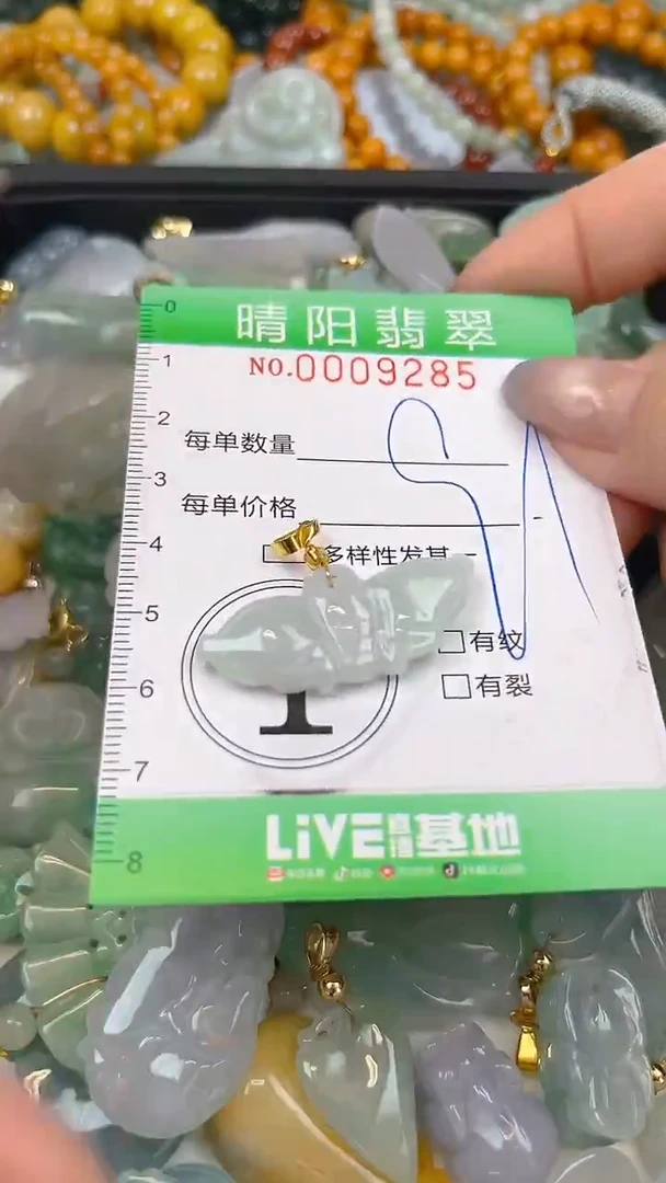 翡翠未镶嵌颈饰闪购0009285