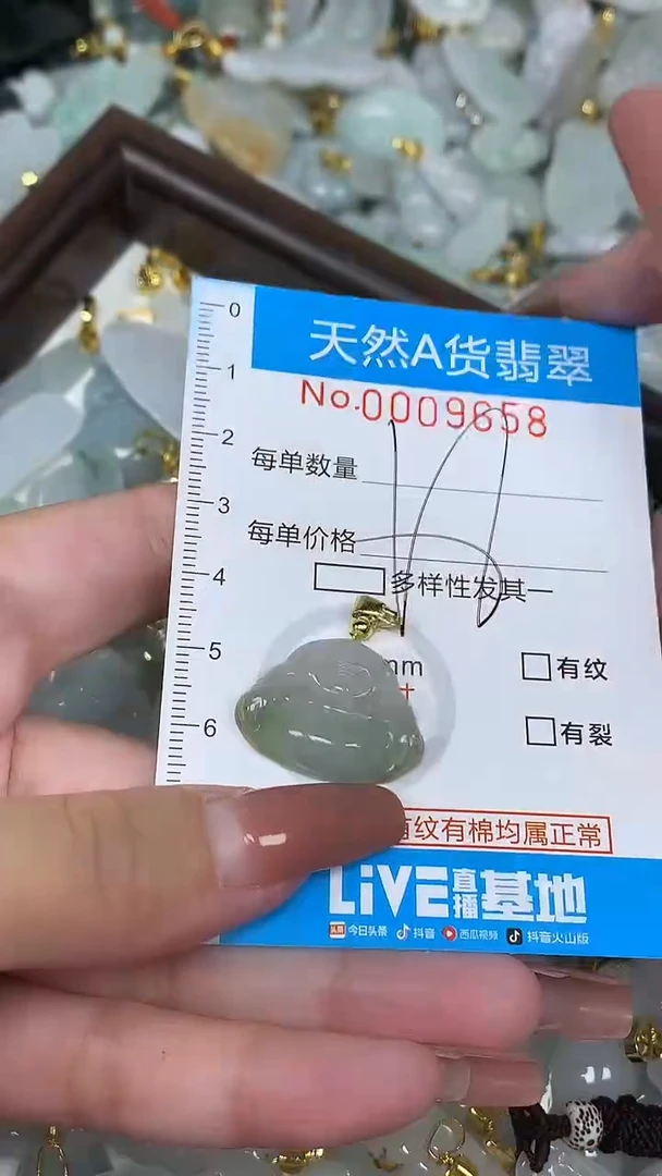 翡翠未镶嵌颈饰净货挂件-9658