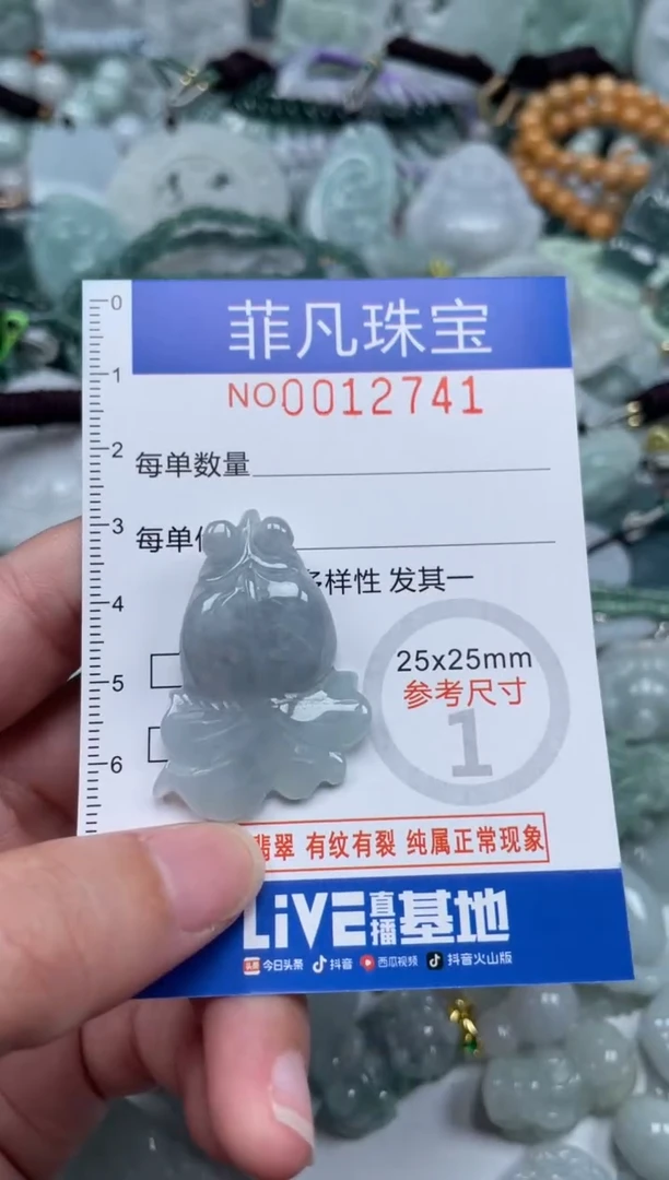 颈饰未镶嵌翡翠12741